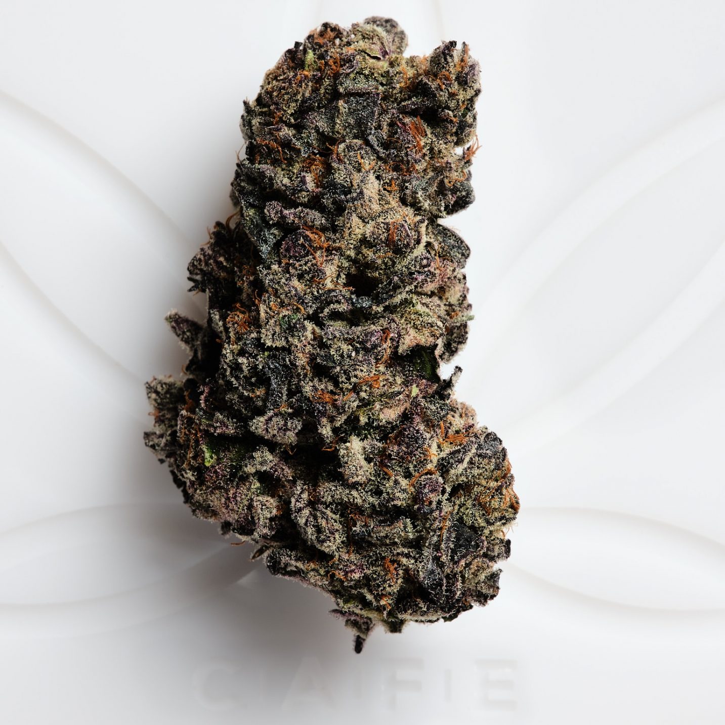 Ice Cream Cake Strain CAFE