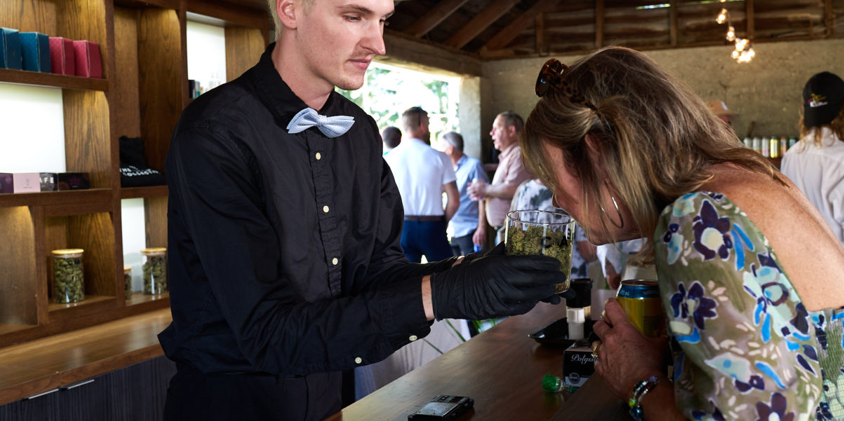 Cafe Cannabis And Fine Edibles Toronto Dispensary