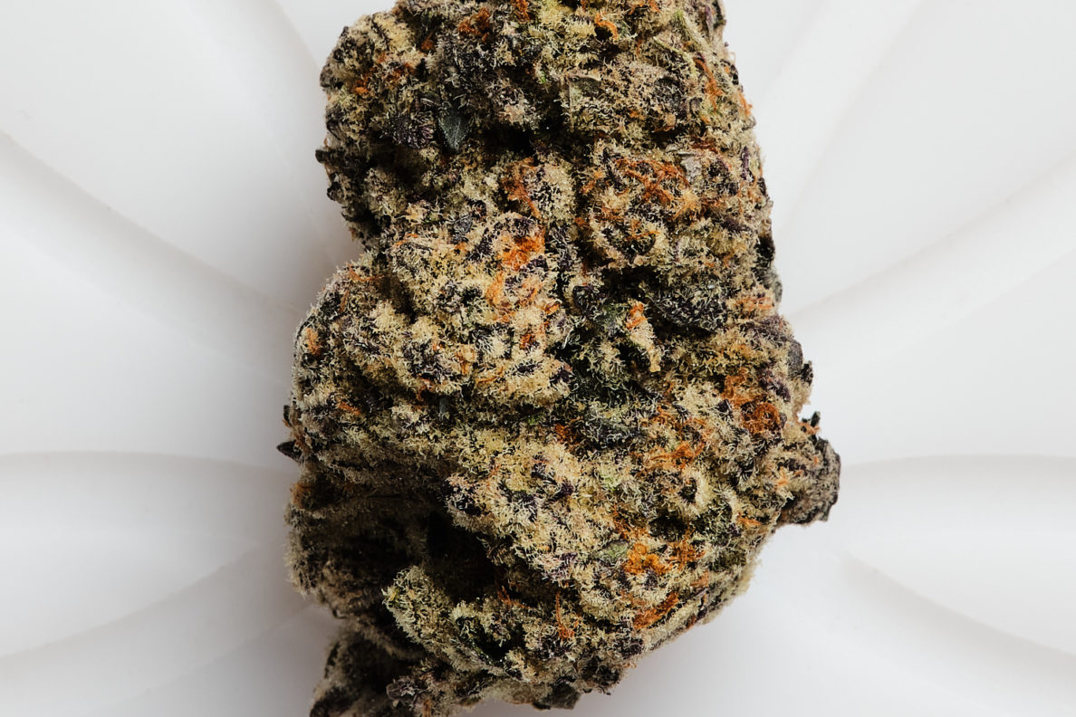 1002 platinum punch (h) cafe bud shots