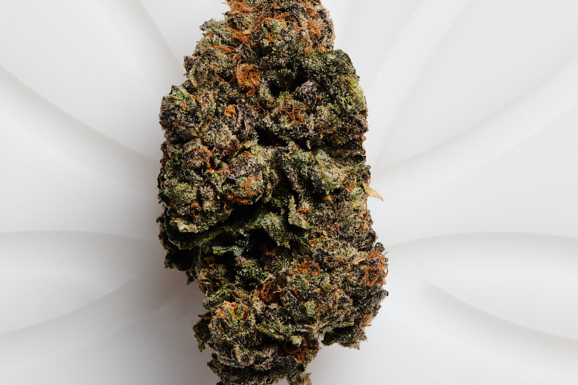 1027 zkittlez (h) cafe bud shots