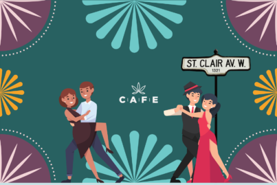 salsa newsletter banner