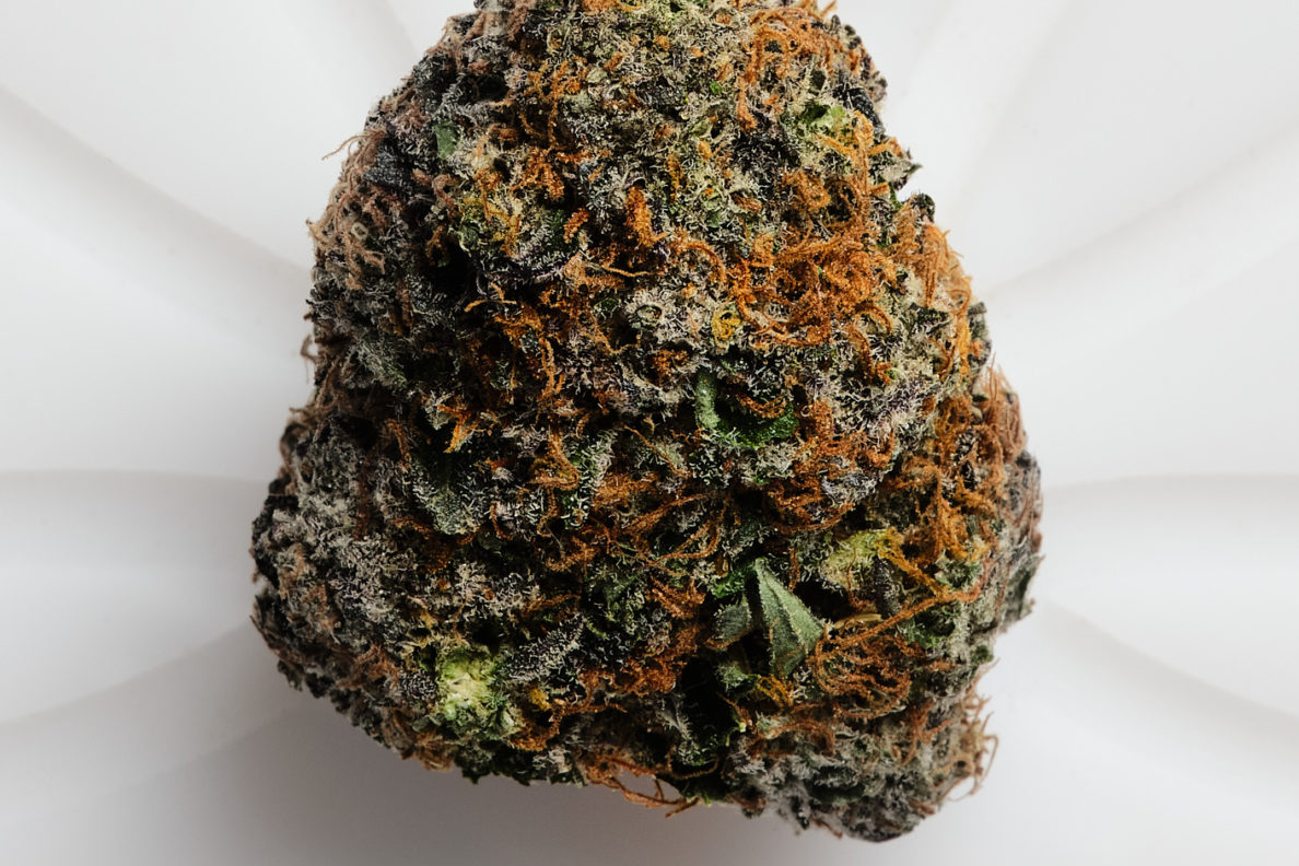 1157 honey bun (h) cafe bud shots