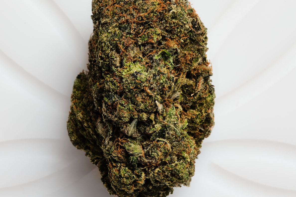 1204 pink cookies (h) cafe bud shots 1