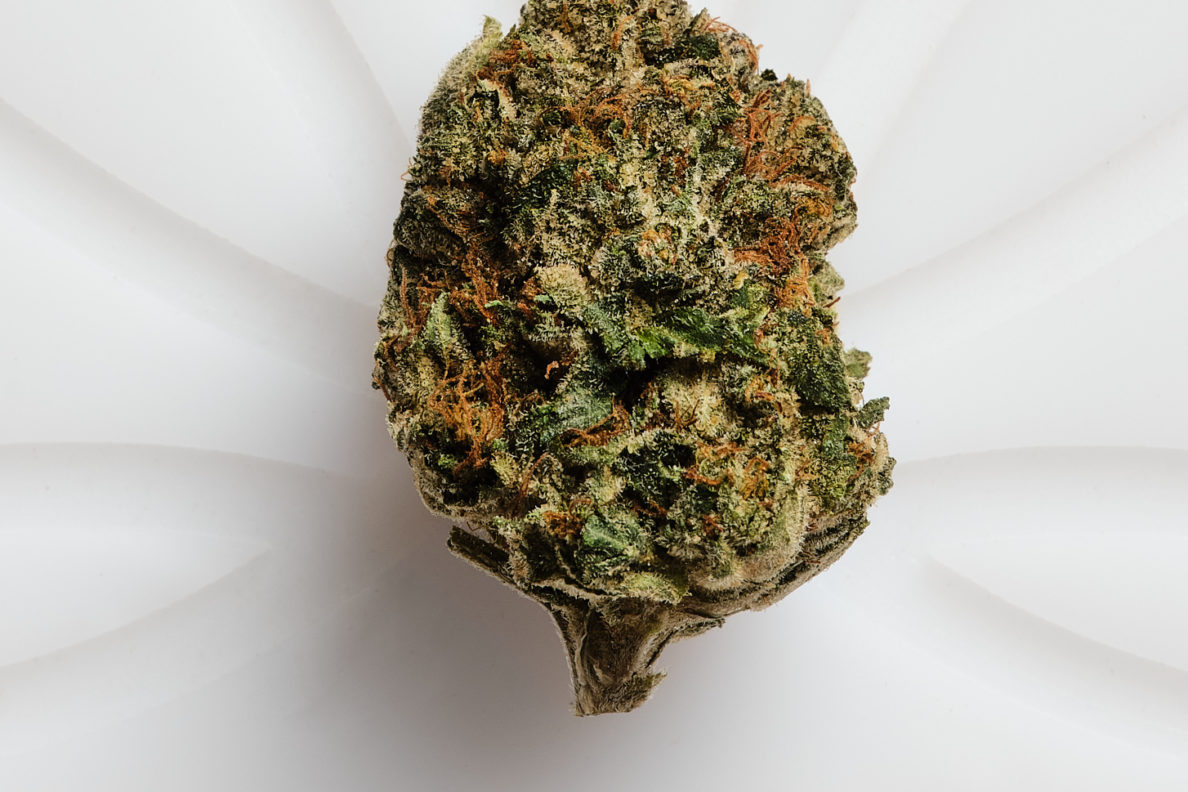 1153 jelly breath (h) cafe bud shots