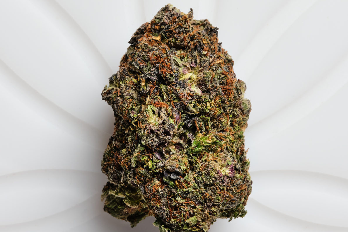 1073 mk ultra (i) cafe bud shots