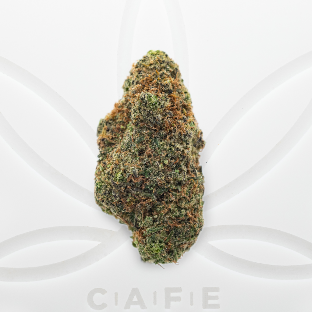 Orange Creamsicle Strain CAFE