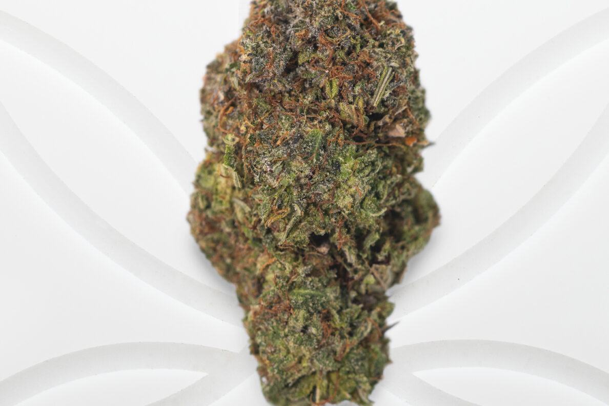 cafe dispensary