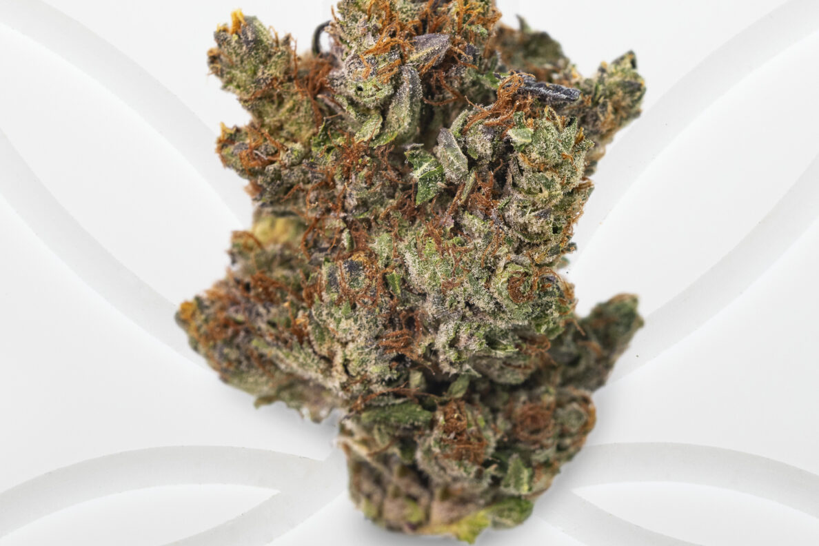 cafe dispensary pink zombie