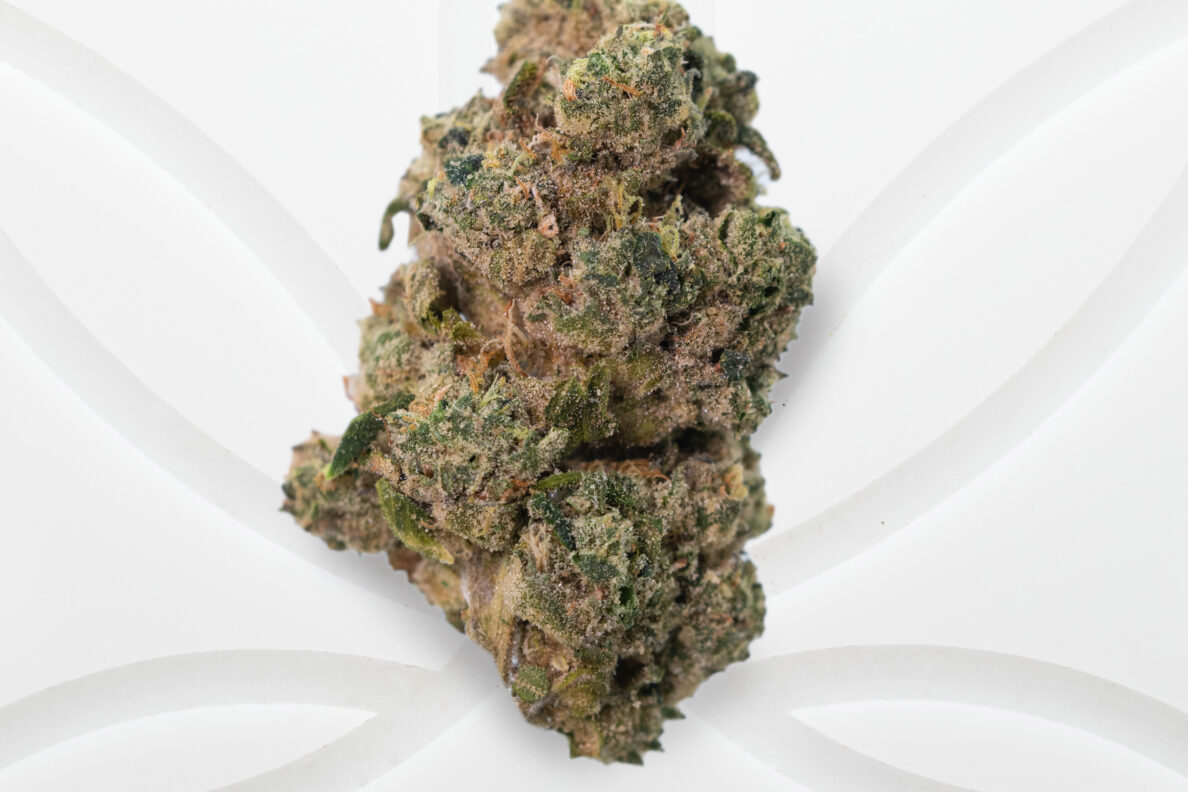 cafe dispensary toronto
