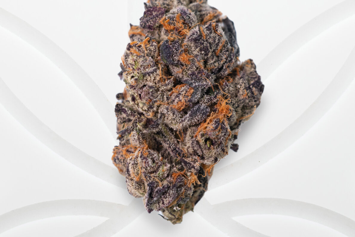 cafe dispensary toronto