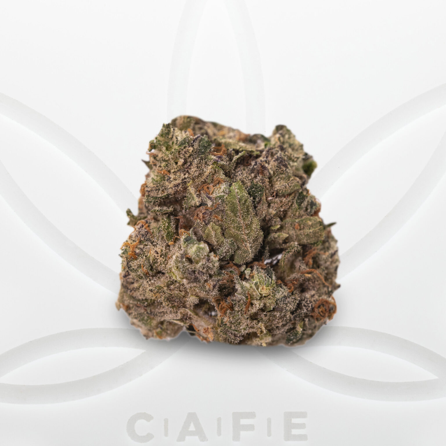 Snowman Strain CAFE snowman-strain-cafe