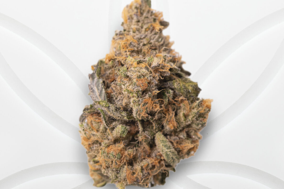 cafe dispensary shop online