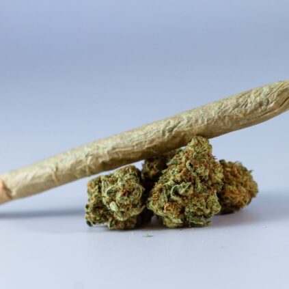 Why Choose An Online Dispensary in Toronto