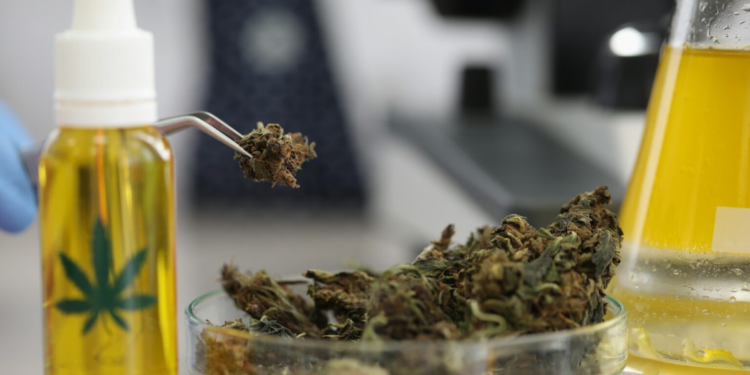 Weed Dispensary Toronto Products