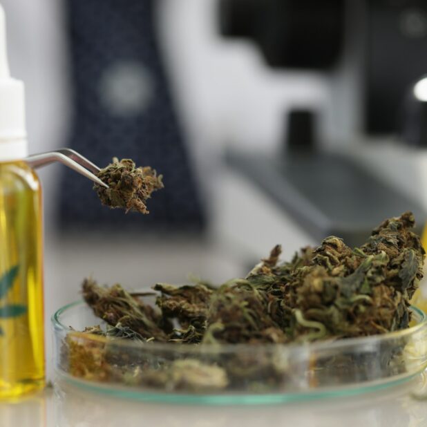 Weed Dispensary Toronto Products