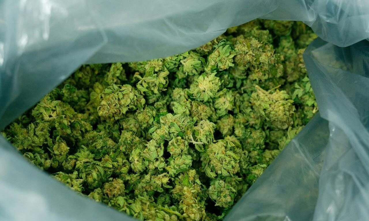 Mail Order Weed Canada