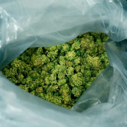 Mail Order Weed Canada