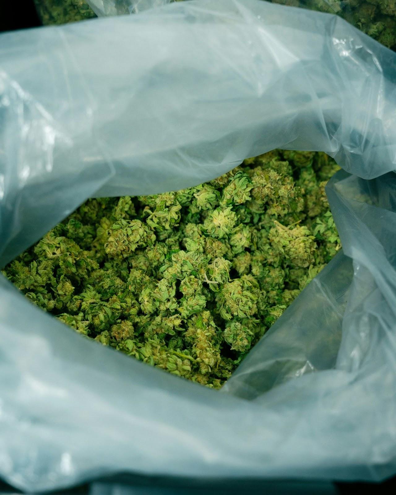 Mail Order Weed Canada