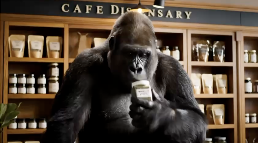 AI CAFE Dispensary Gorilla