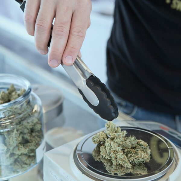 Best Online Cannabis Shopping Tips