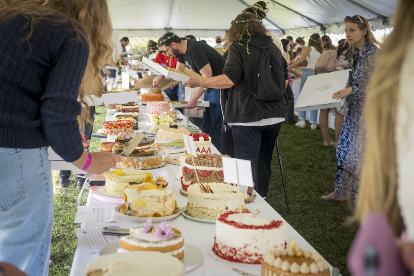 cafe dispensary cake picnic toronto