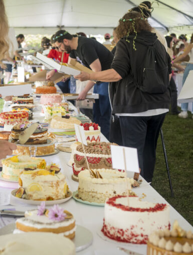 cafe dispensary cake picnic toronto
