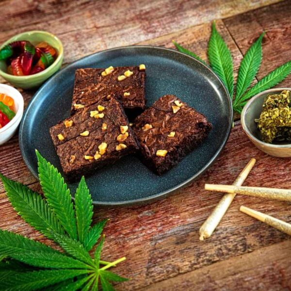 cannabis brownies