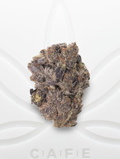 cafe dispensary shop online