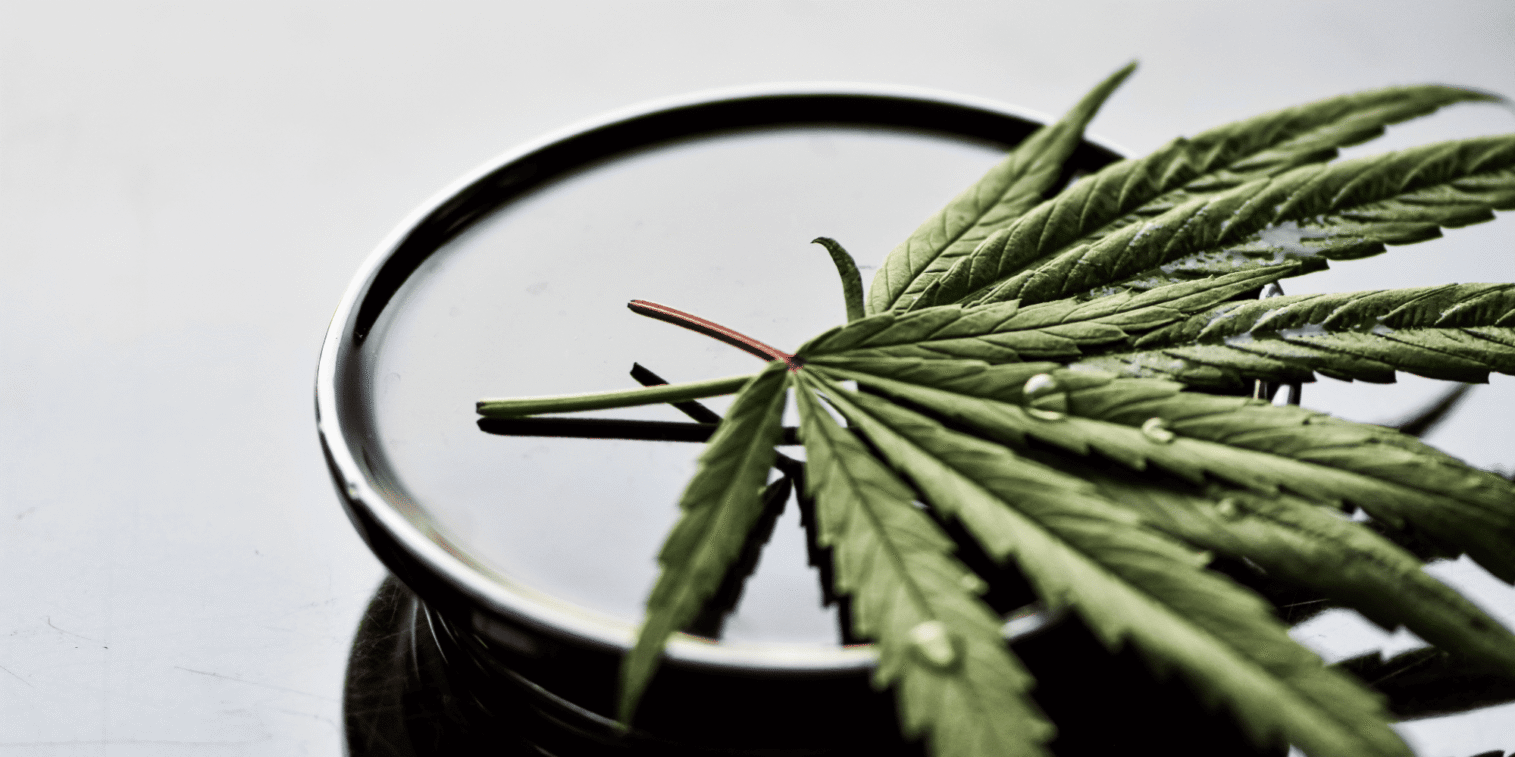 Cannabis Dispensary Toronto