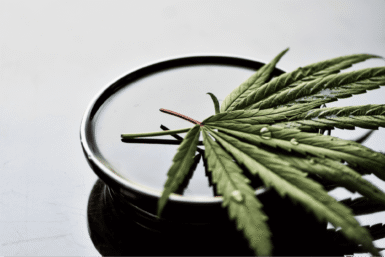 Cannabis Dispensary Toronto