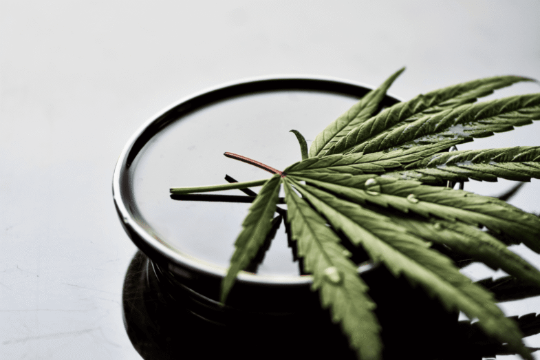 Cannabis Dispensary Toronto