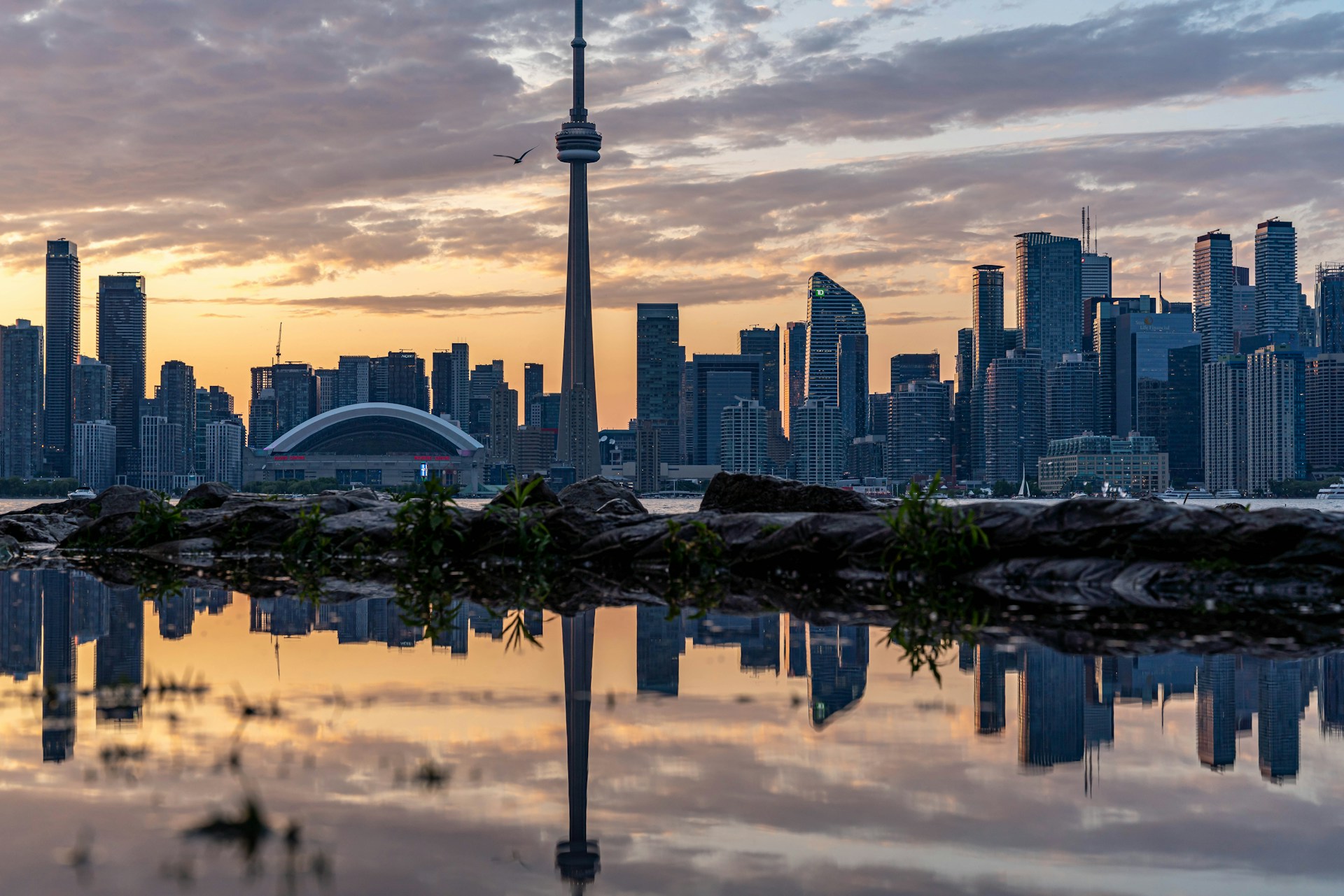 Marijuana Stores near Toronto hotels