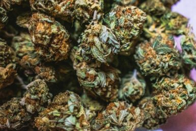 weed delivery in Leslieville