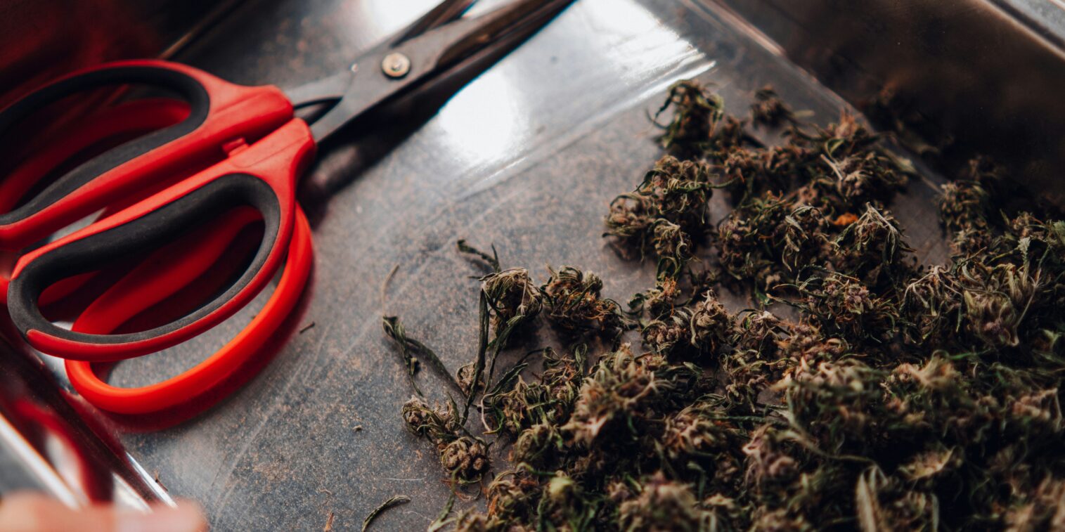 weed delivery in Danforth Toronto