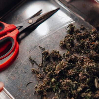 weed delivery in Danforth Toronto