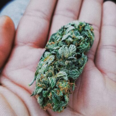 weed delivery U of T Toronto