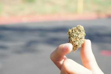 weed delivery East York Toronto