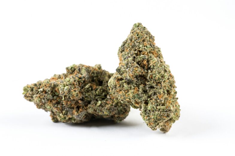 weed delivery Roncesvalles Toronto